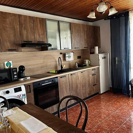 Apartment Petric Rijeka